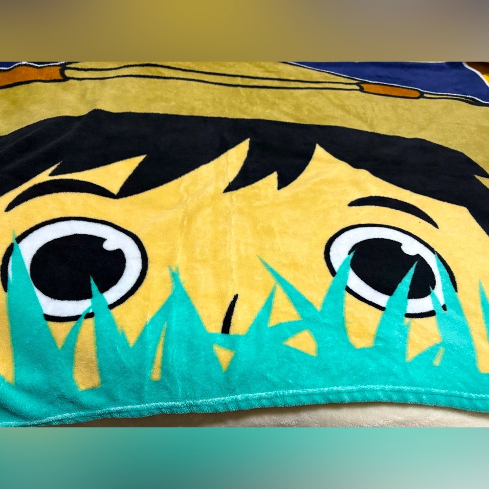 Ryan’s World blanket